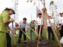 TP.HCM hưởng ứng chương trình “Quỹ 1 triệu cây xanh cho Việt Nam”