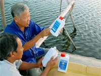 ĐBSCL tôm chết chủ yếu do thuốc diệt giáp xác