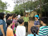 Tp HCM: 5 tháng qua chưa có vụ chặt phá rừng