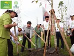Trồng 20.000 cây tại Hạ Long, Quảng Ninh