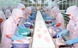 Xuất khẩu thuỷ sản đói nguyên liệu, vốn vay