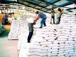 Xuất khẩu gạo gặp khó về thị trường