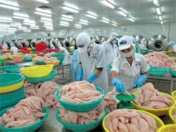 Chủ động tìm cách giải phóng hàng tồn kho