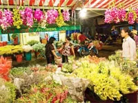 Thành phố có CLB Trang trại hoa lan