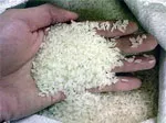 Thủ tướng quyết định cho mua tạm trữ nửa triệu tấn gạo vụ Hè thu