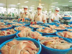 Giải cứu cá tra không chỉ là gói tài chính 9.000 tỷ đồng