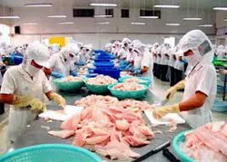 Cơ hội phát triển kinh doanh vào thị trường Đông Âu