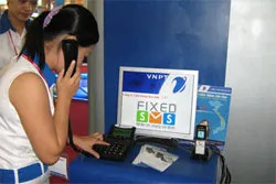 Thành phố đạt 30,5 thuê bao trên 100 dân