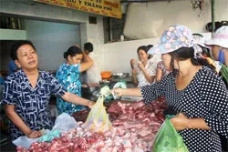 Phí và lệ phí trong lĩnh vực thú y không đáng kể trong giá thành sản phẩm vật nuôi trên thị trường