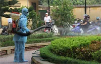 Tăng cường tổng vệ sinh môi trường phòng chống sốt xuất huyết