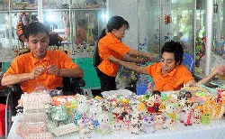 Mít tinh kỷ niệm 51 năm thảm họa da cam/dioxin ở Việt Nam