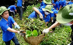 Chiến dịch tình nguyện MHX 2012: Hướng đến cộng đồng chung tay xây dựng nông thôn mới