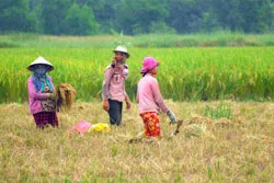 Ngành nông nghiệp và nông dân TP.HCM đang “đói” nguồn vốn tín chấp