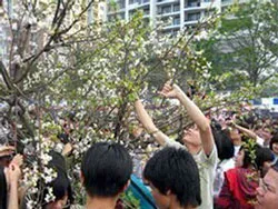 Bình luận:  Văn minh đô thị và trách nhiệm công dân
