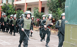 Tội phạm ma túy tăng mạnh
