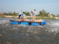 NHNN yêu cầu hỗ trợ cho vay đối với lĩnh vực chăn nuôi và thủy sản