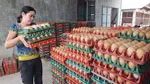 Thông tư 34 về quản lý trứng gia cầm: Sẽ tạo mọi điều kiện để các cơ sở chuyển đổi