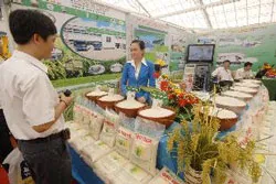 Xây dựng thương hiệu lúa gạo VN: Doanh nghiệp và nông dân đều có lợi
