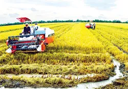 Cơ giới hóa trong nông nghiệp - Bài 2: Cơ giới hóa nông nghiệp cần tổ chức lại sản xuất