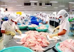 Năm 2011, kim ngạch thương mại Việt Nam - Ba Lan đạt gần 700 triệu USD