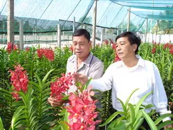 Cựu chiến binh huyện Bình Chánh - tự lực tự cường thoát nghèo vươn lên