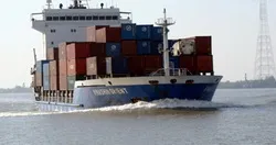 Doanh nghiệp nông nghiệp tham gia dịch vụ bảo hiểm tín dụng xuất khẩu còn thấp