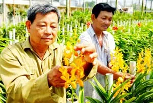 Phát triển sinh vật cảnh ở TP.HCM đến năm 2020 phải đạt 3.000 tỷ đồng
