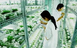 Công nghệ cao - Lực đẩy mới cho nông nghiệp TPHCM