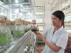 Thiếu nhân sự cho hoạt động khoa học và công nghệ cơ sở