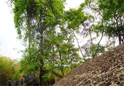 Hội trại truyền thống “Lá trung quân” lần thứ 4