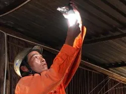 Tặng đèn tiết kiệm năng lượng cho các hộ nghèo Bến Tre