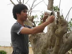Tuyên dương 21 gương thanh niên làm kinh tế giỏi năm 2012