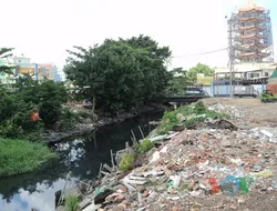 Giám sát dự án cải tạo kênh Tân Hóa - Lò Gốm
