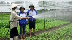 Thanh niên làm giàu từ vùng đất Nông thôn mới