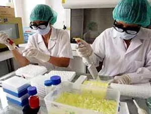 75% cán bộ y tế công cộng chủ yếu được đào tạo làm công tác điều trị