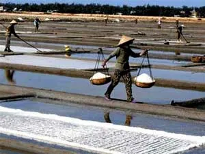 Cần Giờ có trên 1.530 ha muối