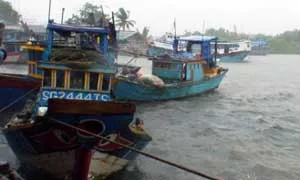 Lãnh đạo TP.HCM kiểm tra công tác phòng chống áp thấp nhiệt đới tại Cần Giờ