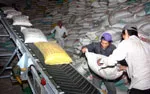 Công ty Lương thực TPHCM đảm bảo nguồn hàng phục vụ Tết 2013