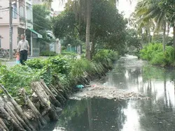 Giải quyết nạn lấn chiếm bờ sông, kênh, rạch: Cần phải kiên quyết