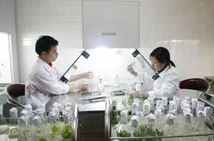 Đội ngũ trí thức TPHCM đóng góp thiết thực vào công cuộc phát triển KT-XH