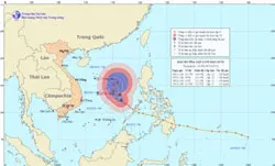 Chủ động phương án đối phó bão Bopha
