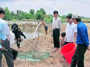 TPHCM: Tuyên dương cán bộ Hội Nông dân năm 2012
