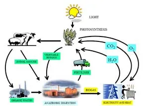 Phát triển ngành khí sinh học Việt Nam theo hướng thị trường