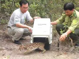 Bảo vệ động vật hoang dã- Bài 2: Vui buồn cùng nghề cứu hộ động vật hoang dã 1