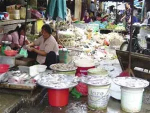 An toàn vệ sinh thực phẩm– Nỗi lo sức khỏe cộng đồng