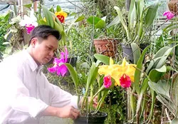 Quận 9 hướng sản xuất nông nghiệp năm 2013 là nông nghiệp đô thị