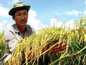 Hướng mới cho tín dụng nông nghiệp