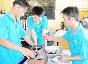 Vươn lên trong mùa xuân mới