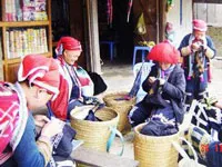 TP.HCM tổng kết công tác dân tộc năm 2012