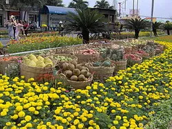 Đảm bảo vệ sinh môi trường công cộng phục vụ Tết nguyên đán 2013
